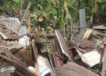 Rumah warga di Korong Kampuang Pauah Nagari Campago, Padang Pariaman rusak tertimpa pohon tumbang, Sabtu (1/4/2023).